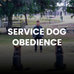 https://southbayk9.com/obedience/