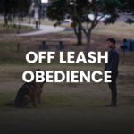 https://southbayk9.com/obedience/